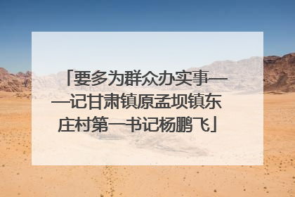 要多为群众办实事——记甘肃镇原孟坝镇东庄村第一书记杨鹏飞